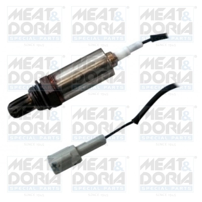 Oxygen Sensor